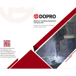 成人TIKTOK黄短视频宣传册英文版